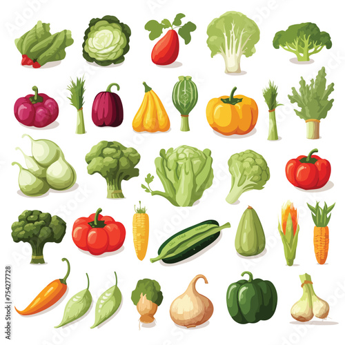 A collection of different types of vegetables. vector