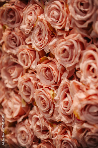 Rose flowers. Kwiaty róży. © Mikoaj
