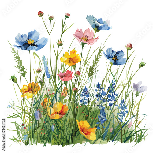 A cluster of wildflowers in a field. watercolor clipart