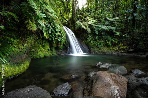 Pure nature  a waterfall with a pool in the forest. The Ecrevisses waterfalls  Cascade aux   crevisses on Guadeloupe  in the Caribbean. French Antilles  France