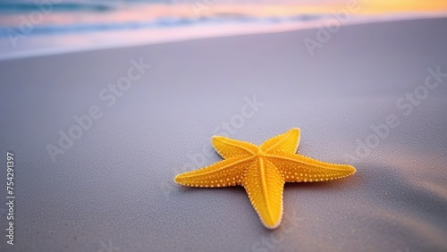 Starfish close-up on the ocean at sunset. Background for summer holidays at sea, layout for vacation advertising