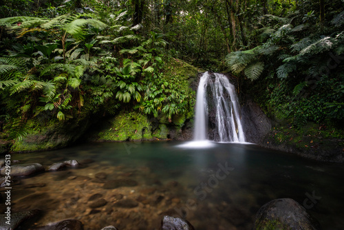Pure nature, a waterfall with a pool in the forest. The Ecrevisses waterfalls, Cascade aux écrevisses on Guadeloupe, in the Caribbean. French Antilles, France © Jan