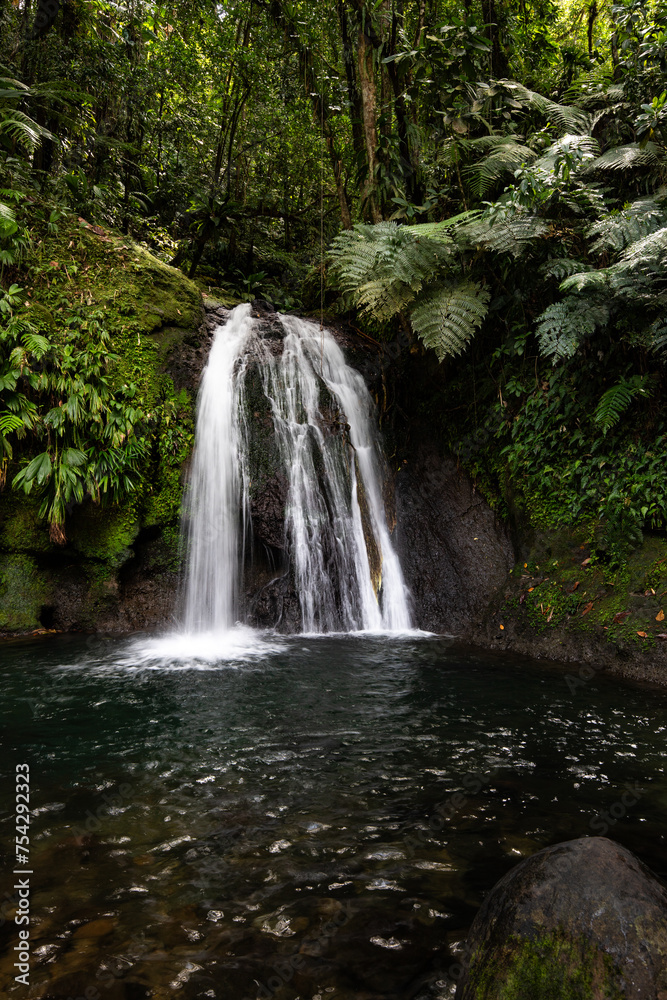 Pure nature, a waterfall with a pool in the forest. The Ecrevisses waterfalls,
Cascade aux écrevisses on Guadeloupe, in the Caribbean. French Antilles, France