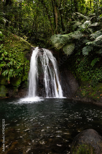Pure nature  a waterfall with a pool in the forest. The Ecrevisses waterfalls  Cascade aux   crevisses on Guadeloupe  in the Caribbean. French Antilles  France