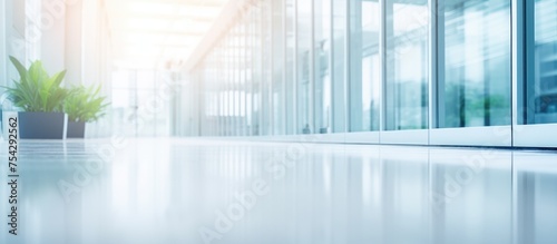 A room with an empty business office background  featuring a plant as the central focal point. The room is designed with glass walls  white decor  and light bokeh adding ambiance.