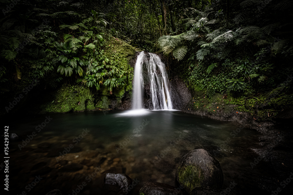 Pure nature, a waterfall with a pool in the forest. The Ecrevisses waterfalls,
Cascade aux écrevisses on Guadeloupe, in the Caribbean. French Antilles, France Pure nature, a waterfall with a pool in the forest. The Ecrevisses waterfalls,
Cascade aux écrevisses on Guadeloupe, in the Caribbean. French Antilles, France