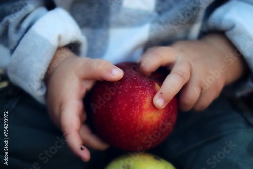 apple in hand