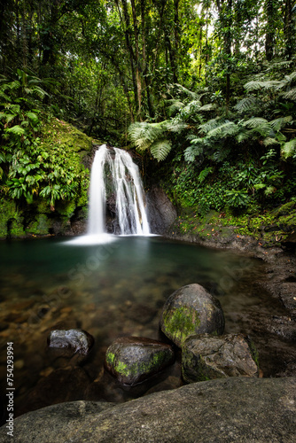 Pure nature, a waterfall with a pool in the forest. The Ecrevisses waterfalls, Cascade aux écrevisses on Guadeloupe, in the Caribbean. French Antilles, France