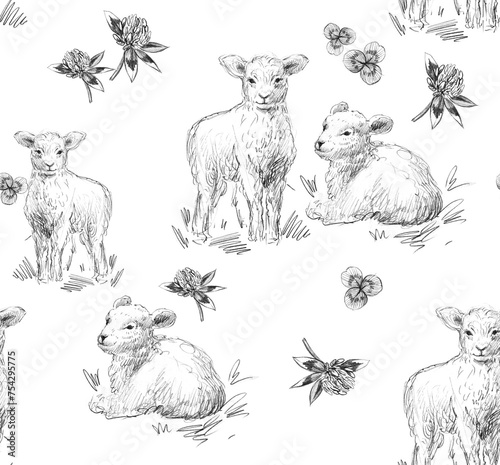 Beautiful pencil drawn rustic pattern with sheep on a white background. © Arina