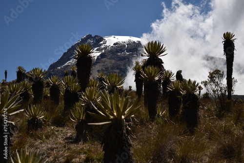 Tolima's summit in Colombia