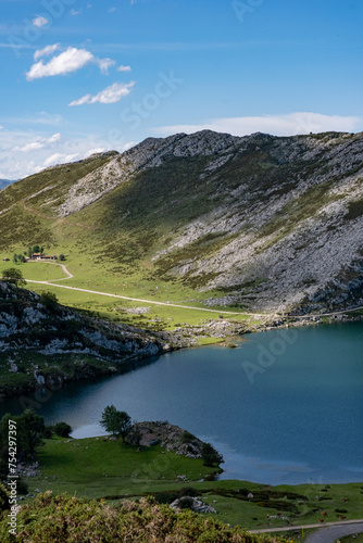 Lagoons of Covadonga in peaks of europe with mountains, free wild cows and people in tourism attraction, during sunny summer day in spain © José Rego