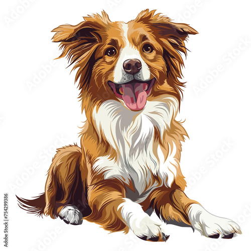 Vector pomeranian dog cartoon on an isolated background photo