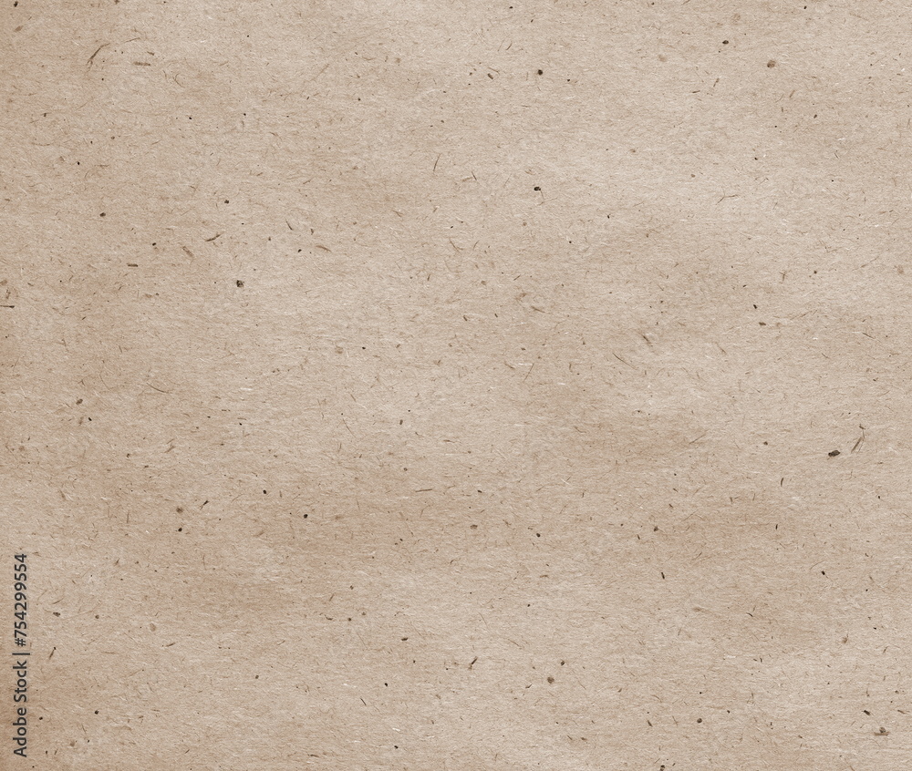 Obraz premium Recycled Kraft Paper Texture Background