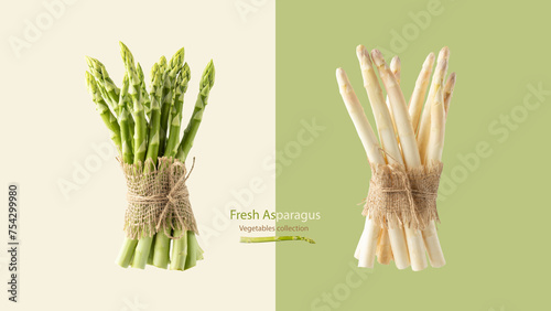 Fresh green and white asparagus isolated on pastel color background with copy space. photo