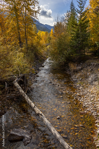 PRA Island Lake, Municipality of Crowsnest, Alberta, Canada photo