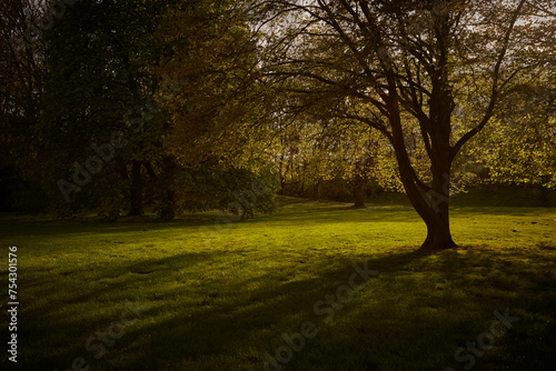 Kurpark in Bad Sassendorf, Kreis Soest, NRW, Deutschland, Germany, 2023 photo