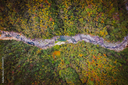 From a bird s-eye view of a forest stream