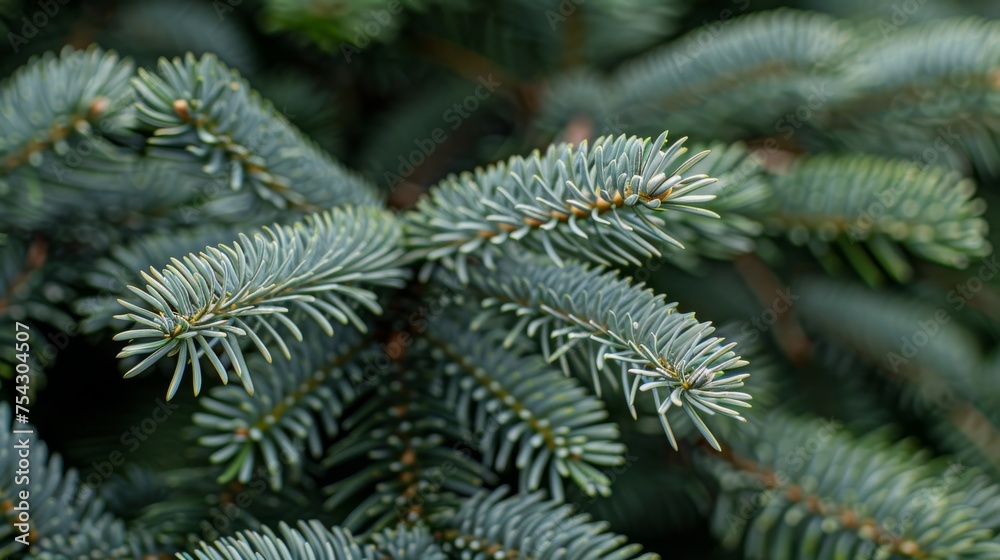  a close up of a pine tree with lots of needles on it's branches and green needles on it's branches.