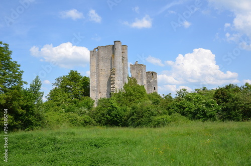 RUINES DU CHÂTEAU FÉODAL DE PASSY LES TOURS 14 éme SIÈCLE