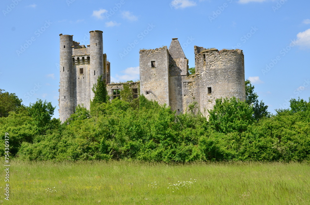 RUINES DU CHÂTEAU FÉODAL DE PASSY LES TOURS XIV éme SIÈCLE