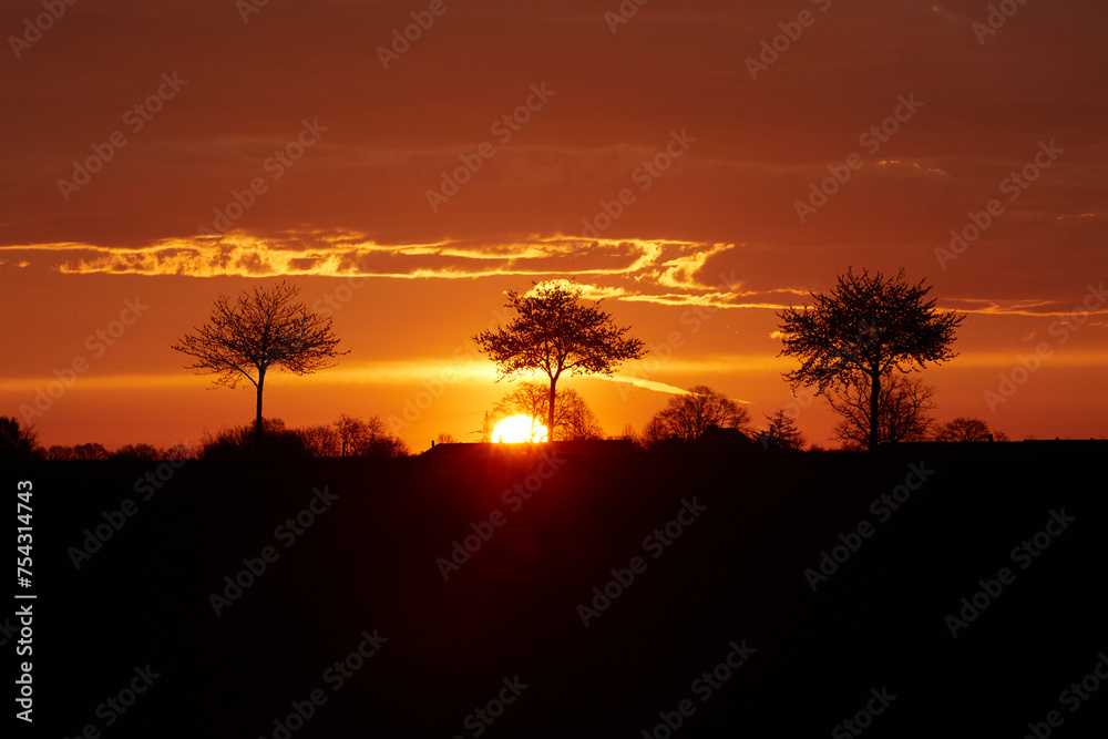 Obraz premium Sonnenaufgang im Sommer bei Erwitte-Horn, Langestrasse, Sommer 2023 