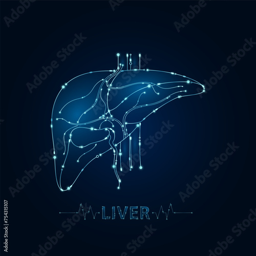 Liver human in electronic form glowing between information connecting lines. Medical science of technology digital hi tech. Futuristic digital circuit board innovative health care. Vector EPS10.