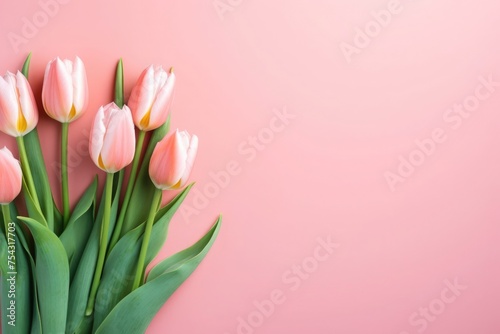Blushing tulips on pink whisper of elegance, gentle grace in a soft-focus world. Copy space © cvetikmart
