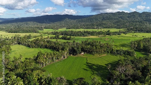 drone shot of countryside rice fields
