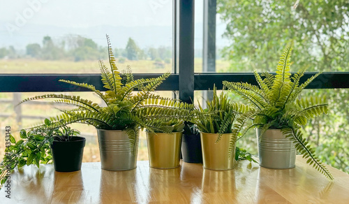 Small artificial green plants decoration in the restaurant or in the living room