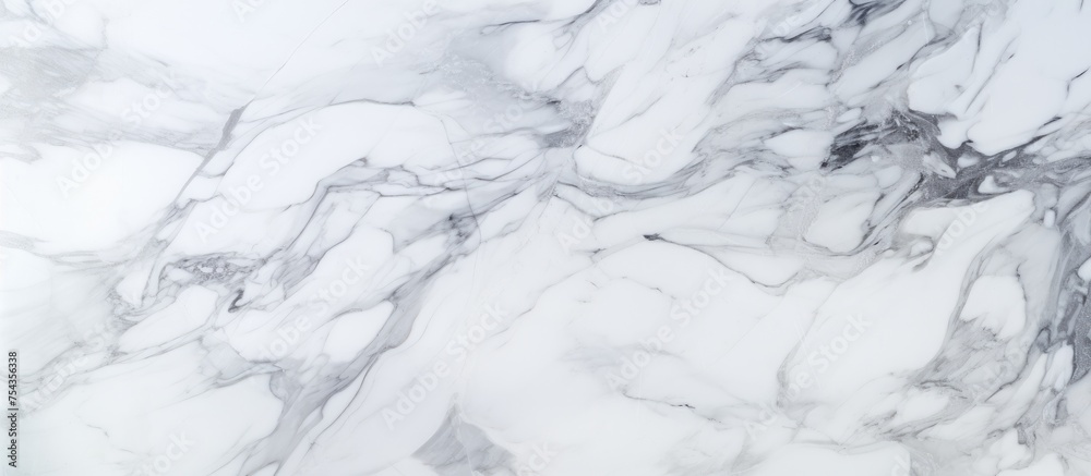 This close-up reveals the intricate patterns and textures of white marble, showcasing its detailed structure. The natural design of the marble is highlighted,