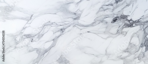 This close-up reveals the intricate patterns and textures of white marble, showcasing its detailed structure. The natural design of the marble is highlighted,