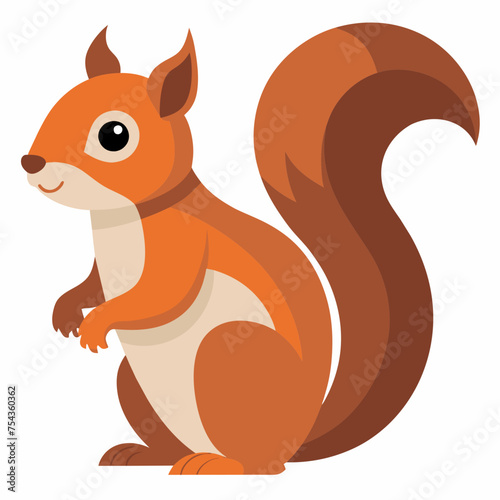 squirrel pet vector illustration draw cartoon pretty
cute