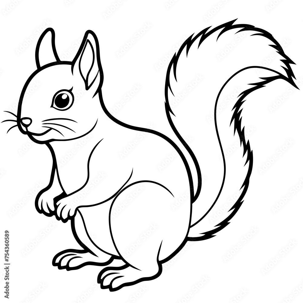 squirrel pet vector illustration draw cartoon pretty
cute