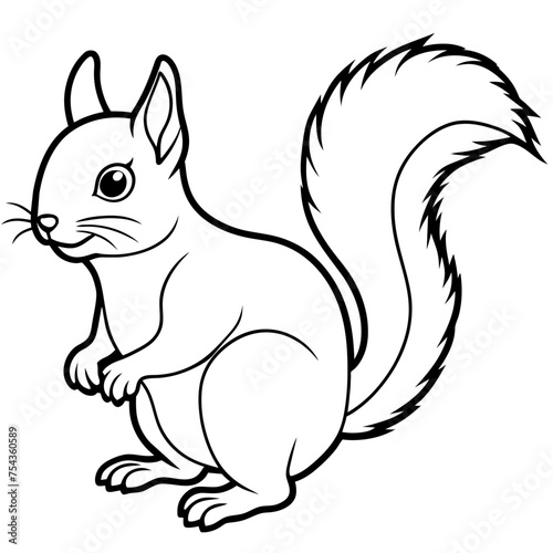 squirrel pet vector illustration draw cartoon pretty
cute