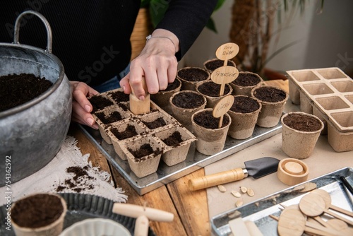 Wallpaper Mural Aussaat im Torftopf, Topf mit Erde füllen, Gemüse selber anpflanzen
 Torontodigital.ca
