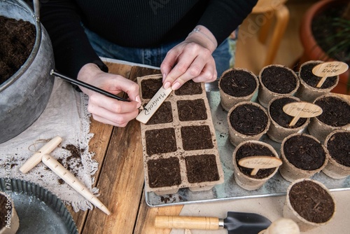 Wallpaper Mural Aussaat im Torftopf, Topf mit Erde füllen, Gemüse selber anpflanzen
 Torontodigital.ca