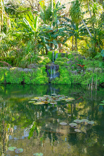 Pretty little pond in a public park in Florida in the United States.