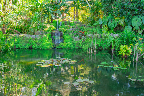 Pretty little pond in a public park in Florida in the United States.