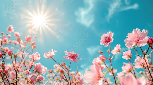 Blossoming flowers reaching towards the sun against a clear blue sky, symbolizing the essence of rebirth and renewal