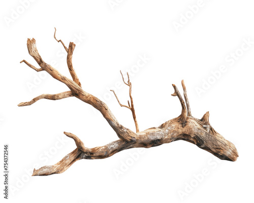 Dry old branch isolated on transparent background © Yuliana
