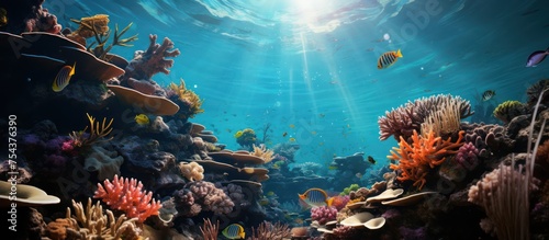underwater coral reef landscape with colorful fish and marine ecosystem photo