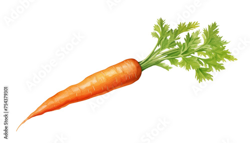 bunch of carrots isolated on transparent background cutout