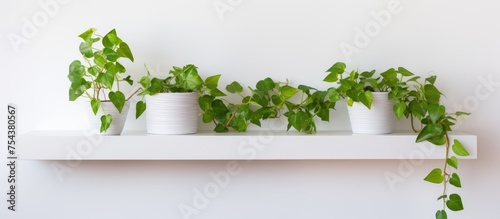 A white shelf is filled with an assortment of vibrant plants in different pots, creating a lively and green display against a clean white background in a house setting.