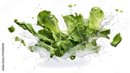 green leave sliced pieces flying in the air with water splash isolated on transparent png. 