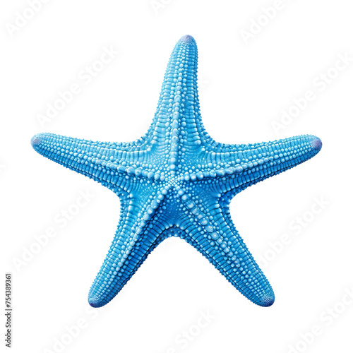 starfish isolated on white