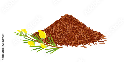Dry rooibos tea heap and rooibos branch with yellow flowers. Vector cartoon illustration.