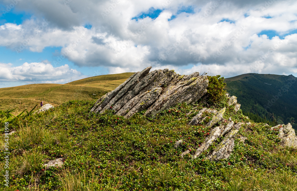 Valcan mountains in Romania covered by meadows with few small rock and stones Valcan mountains in Romania covered by meadows with few small rock and stones