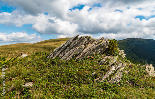 Valcan mountains in Romania covered by meadows with few small rock and stones
