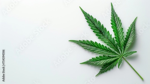 Marijuana leaf isolated on white background with clipping path. Medical marijuana concept. High quality medical marijuana photo on white. Top view  generated with AI