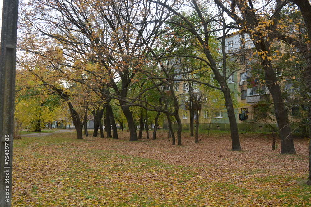 Beautiful and unusual autumn nature of the city of Pavlohrad, Ukraine. Trees with green yellow leaves grow in a beautiful park.
